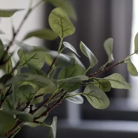 Close-central - Old Town - Comfortable And Cozy - W3 Wrocław