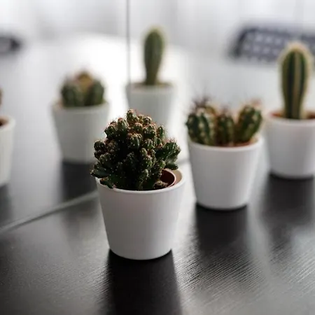 Close-central - Old Town - Comfortable And Cozy - W3 Appartement Wrocław