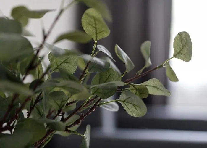 Close-central - Old Town - Comfortable And Cozy - W3 Wrocław