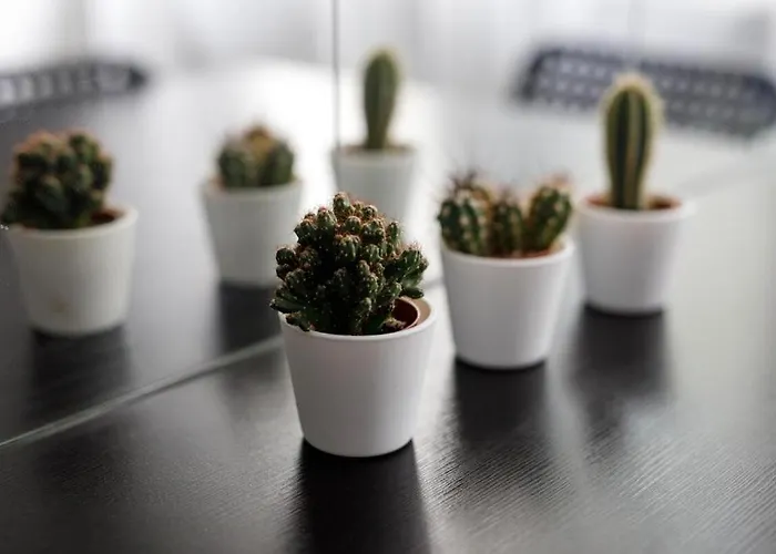 Close-central - Old Town - Comfortable And Cozy - W3 Appartement Wrocław